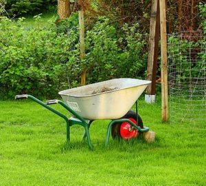 wheelbarrow-300×270