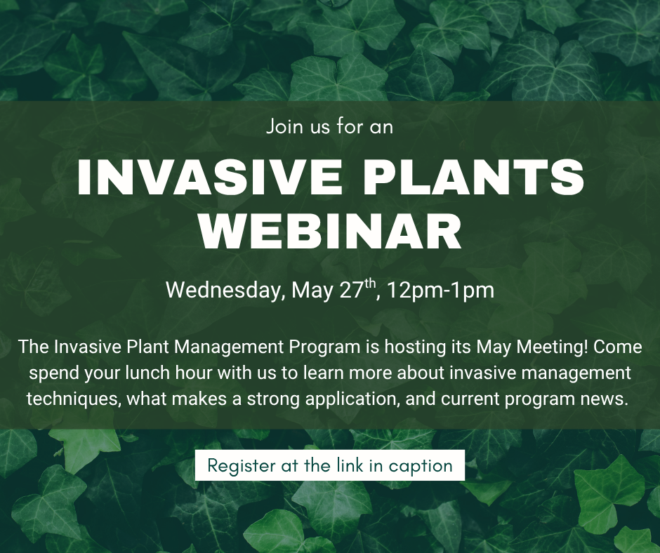 Webinar Flyer